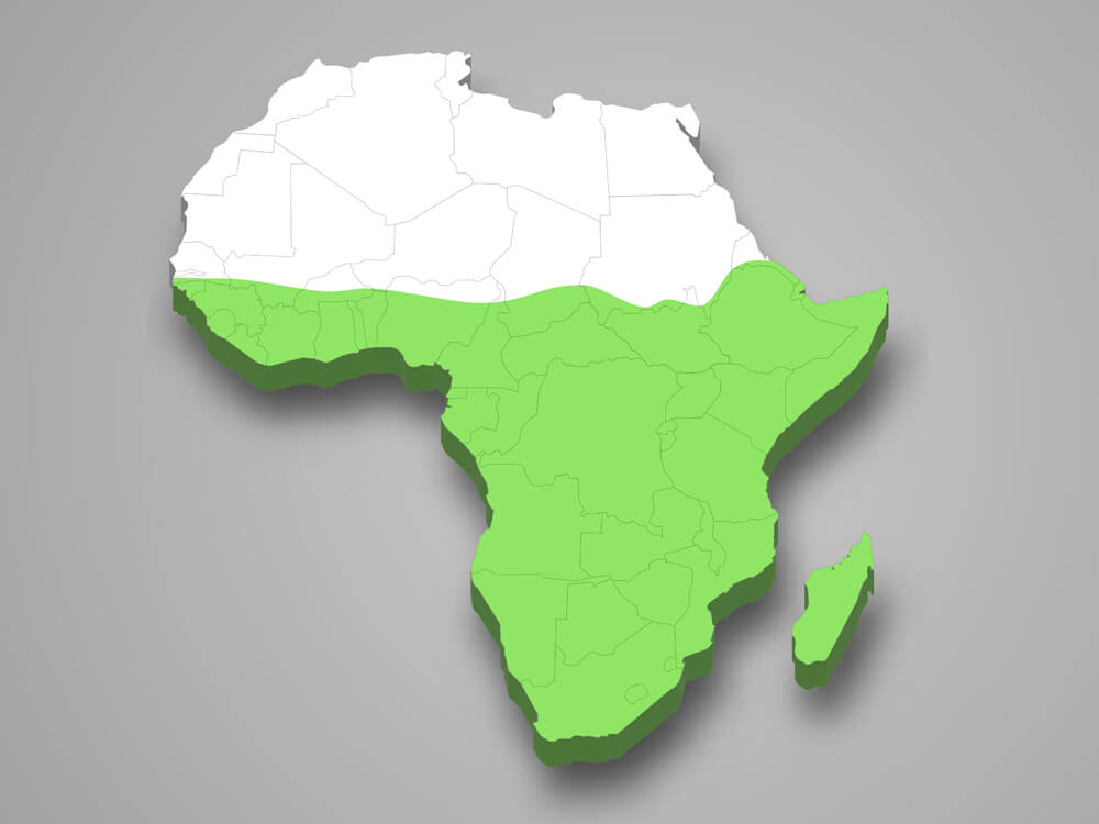 Sub-Saharan Africa 3d map.